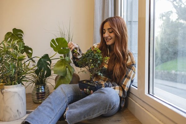 Techniques avancées pour la culture de bonsaïs fruitiers : quelles espèces choisir ?